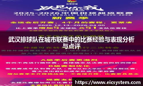 武汉排球队在城市联赛中的比赛经验与表现分析与点评